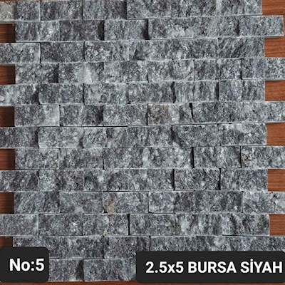 Bursa Siyah