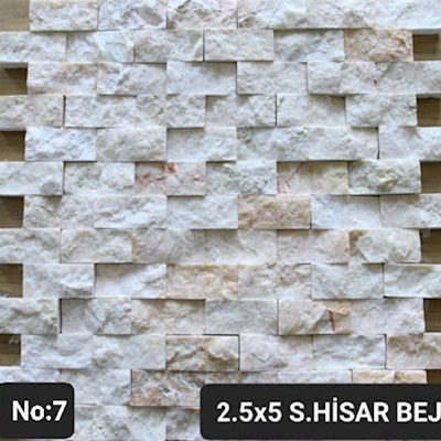 S. Hisar Bej